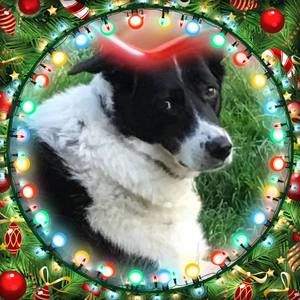 Meet your Posher, Tressa